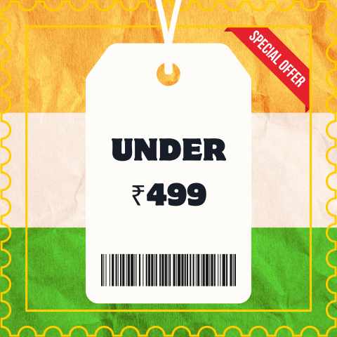 Under ₹499
