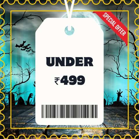 Under ₹499