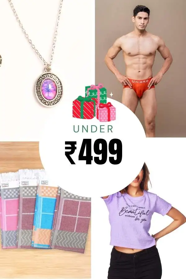 Under ₹499
