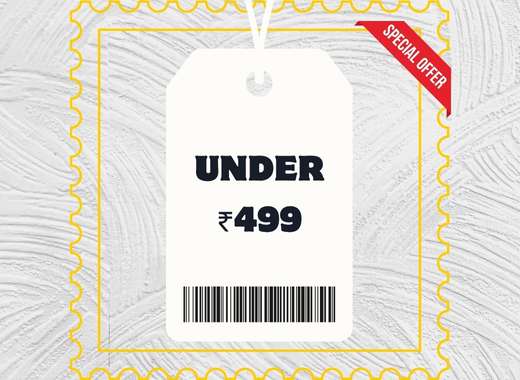 Under ₹499