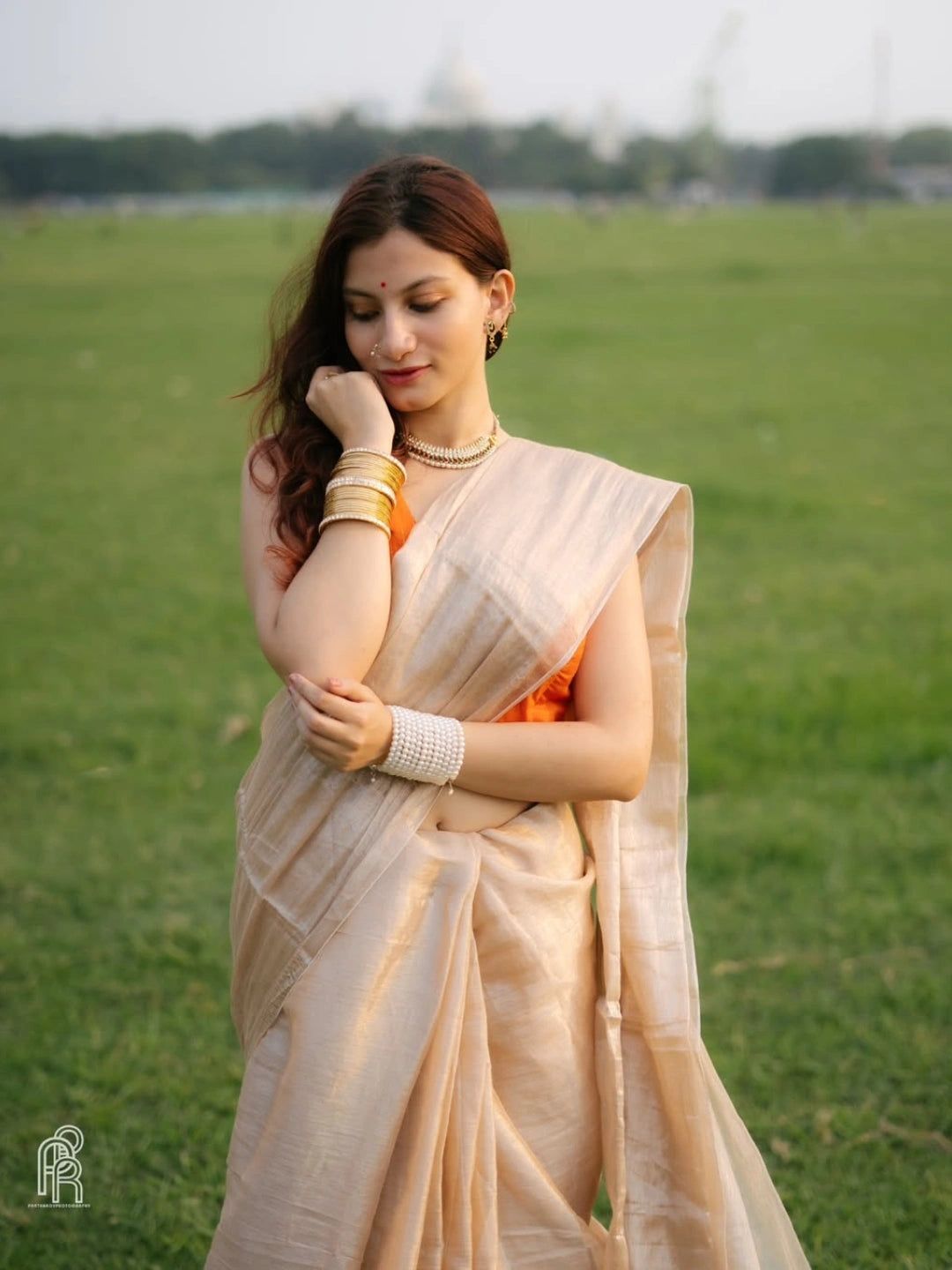 Creamy Glow | Ivory Handloom Tissue Saree. image 2