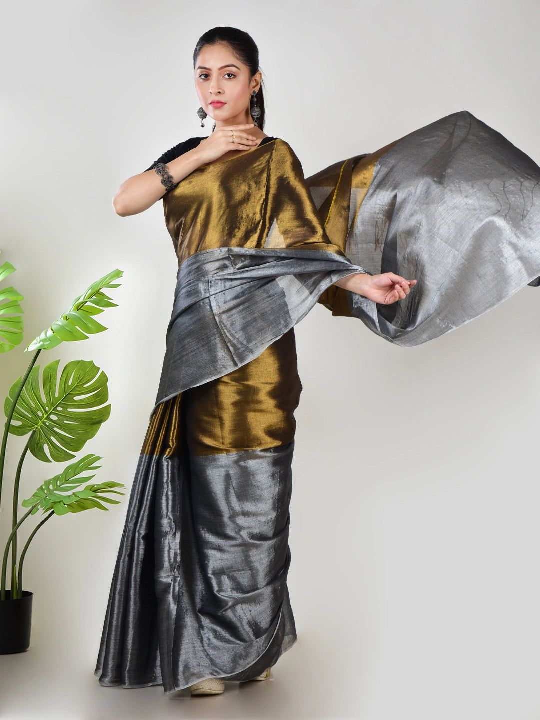 Swarna Chaand | Gold & Silver Handloom Tissue Saree image 2