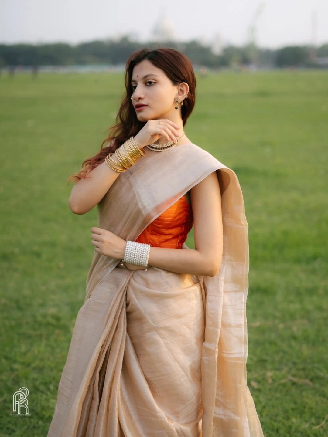 Creamy Glow | Ivory Handloom Tissue Saree. image 4