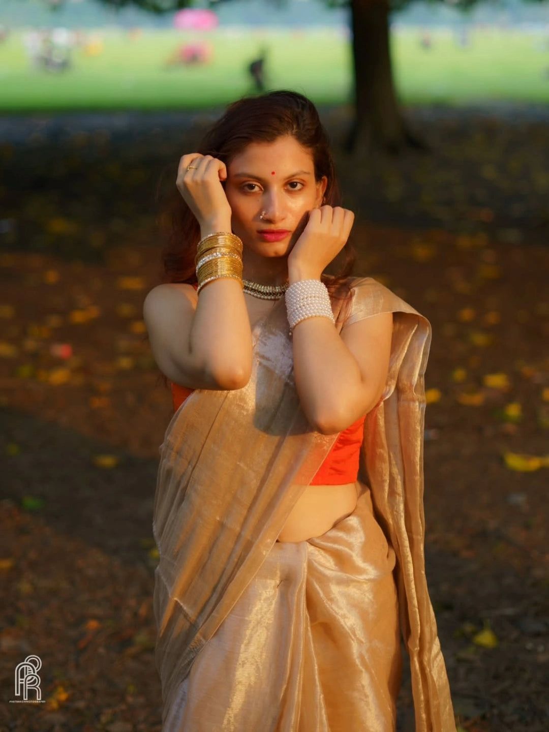 Creamy Glow | Ivory Handloom Tissue Saree. image 5