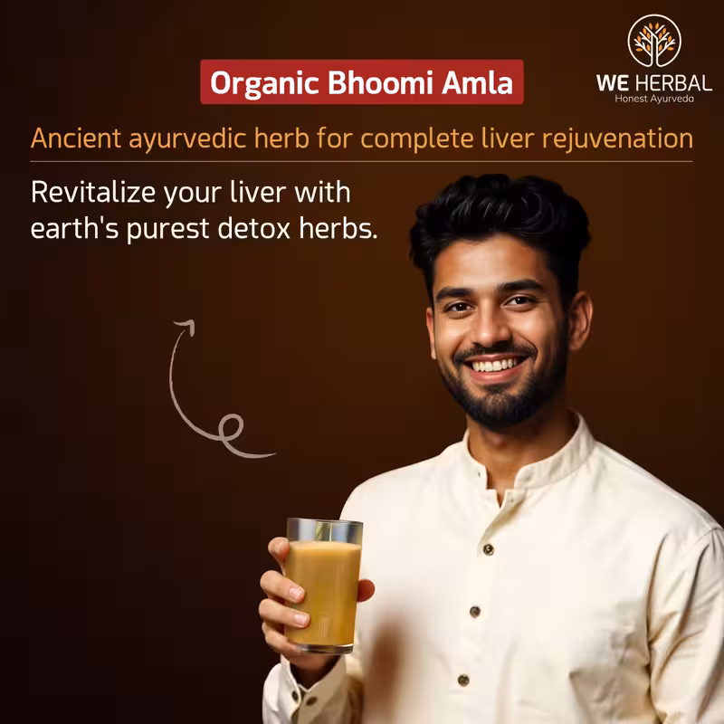 Organic Bhumi Amla Powder image 4