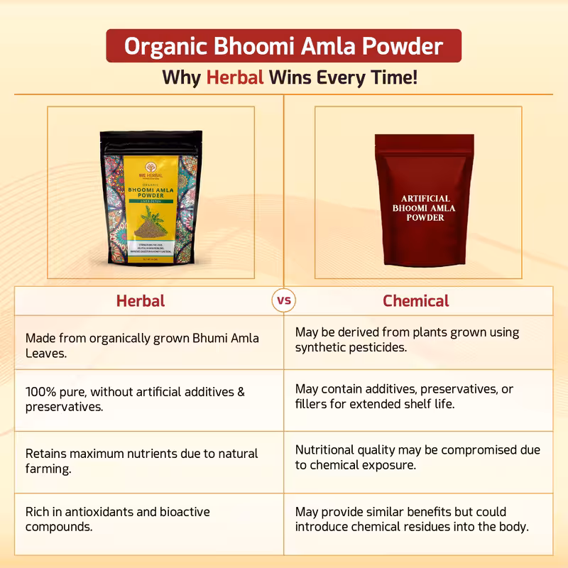 Organic Bhumi Amla Powder image 5
