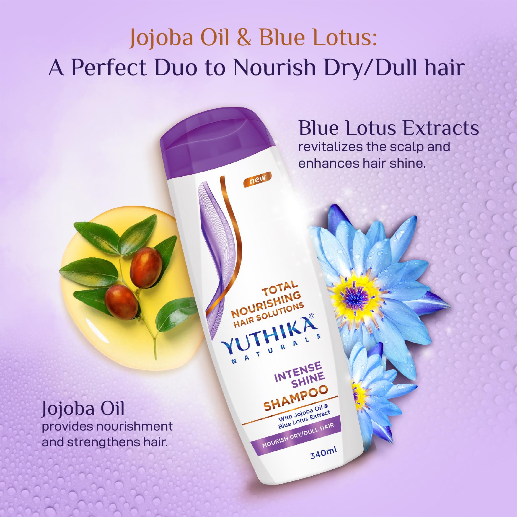 Yuthika Intense Shine Shampoo For Women & Men 340ML | Total Nourishing Hydrating Hair Shampoo For Dull, Dry & Frizzy Hair |INFUSED With Jojoba Oil & Blue Lotus Extract image 3