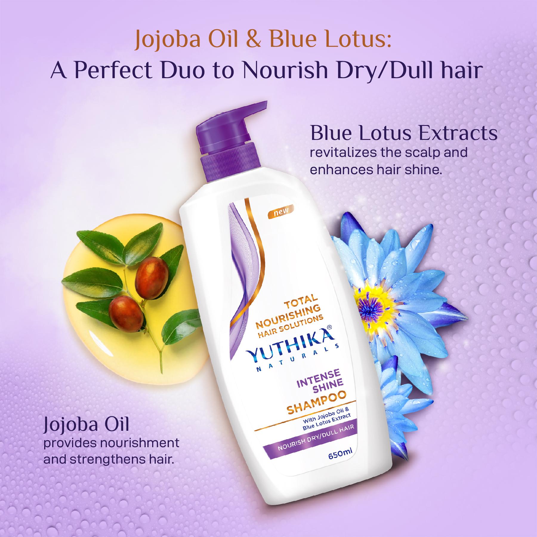 Yuthika Intense Shine Shampoo For Women & Men 650ML | Total Nourishing Hydrating Hair Shampoo For Dull, Dry & Frizzy Hair |INFUSED With Jojoba Oil & Blue Lotus Extract image 3