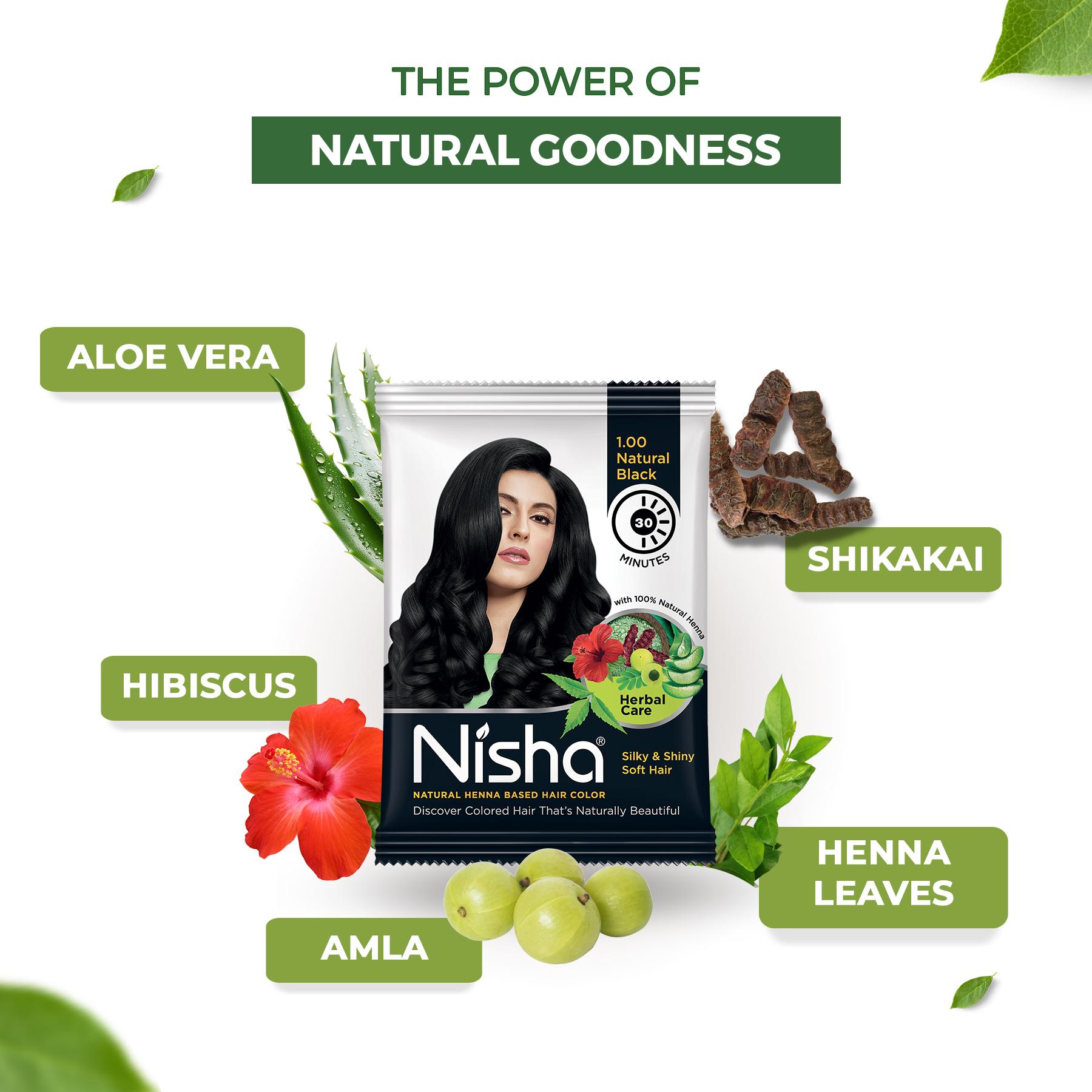 Nisha Natural Henna Hair Color 25G Natural Black, Pack Of 10 image 4