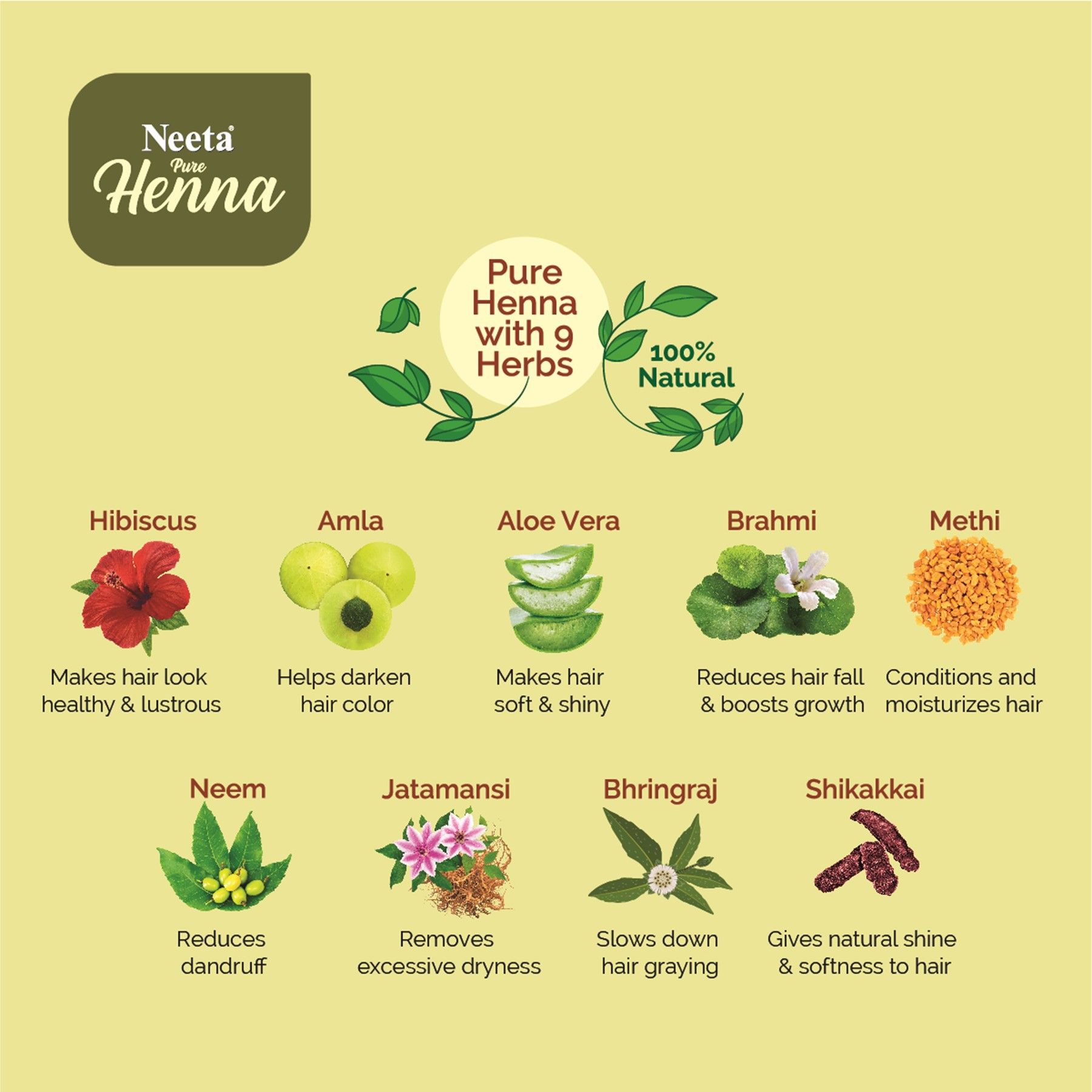 Neeta Pure Henna Soft & Shiny Natural Looking Hair Color, 100% Natural 9 Herbs 30G image 4