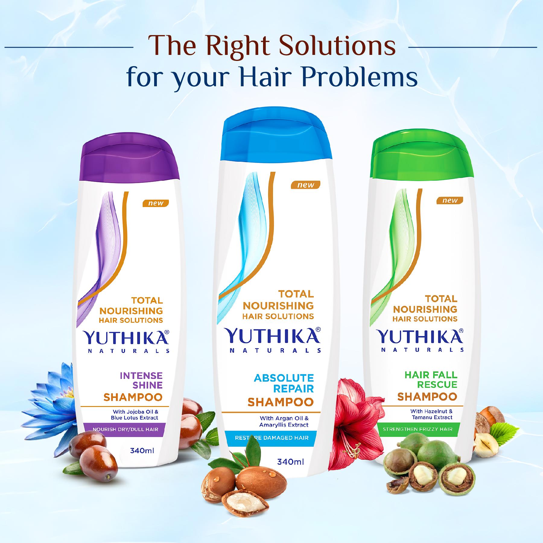 Yuthika Absolute Repair Shampoo For Damaged Hair 340ML |TOTAL Nourishing Shampoo For Women & Men| Enriched With Argan Oil & Amaryllis Extract image 5