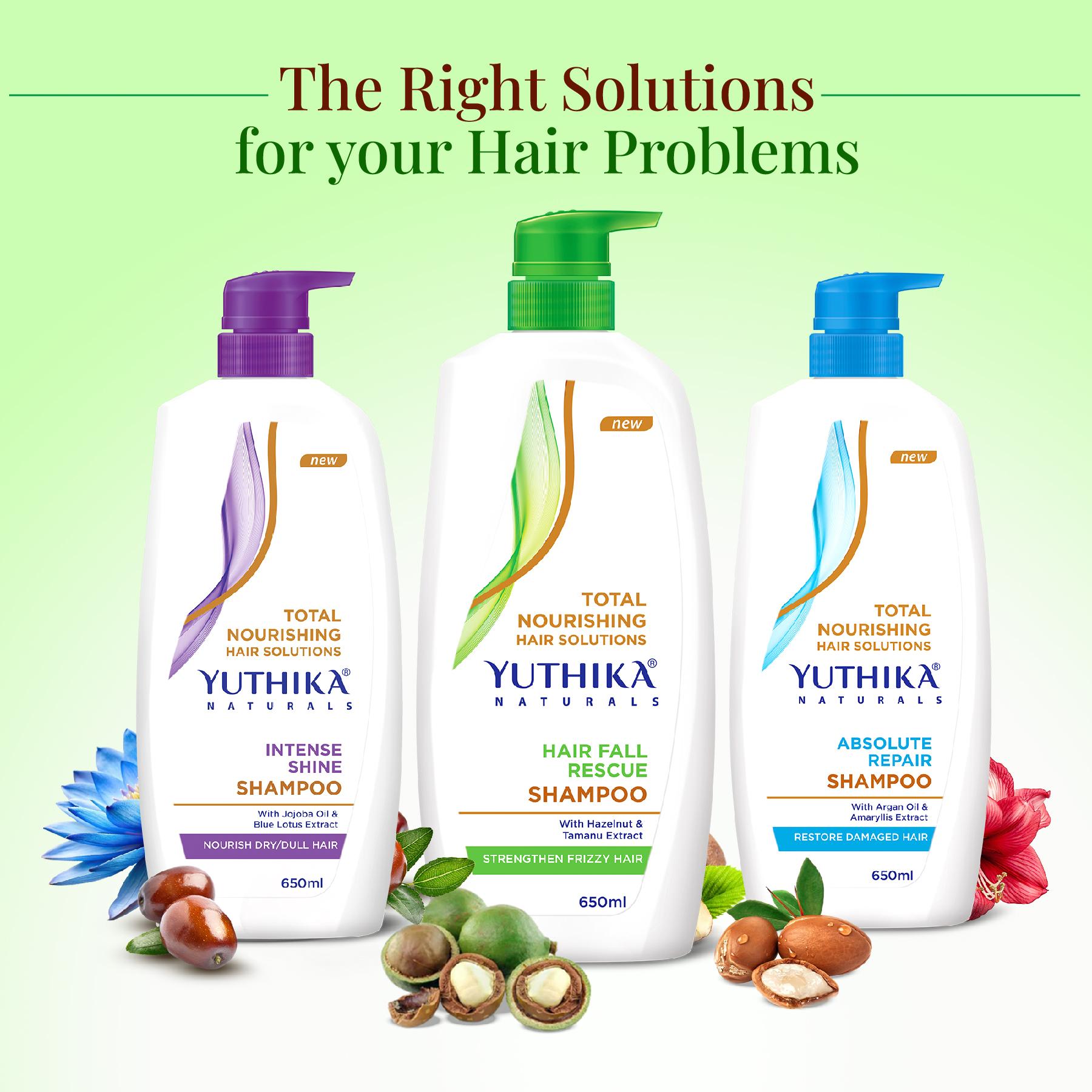 Yuthika Hair Fall Rescue Shampoo For Women & Men 650ML | Anti Hair Fall Shampoo | Strengthens Frizzy Hair | Enriched With Hazelnut & Tamanu Extracts image 5