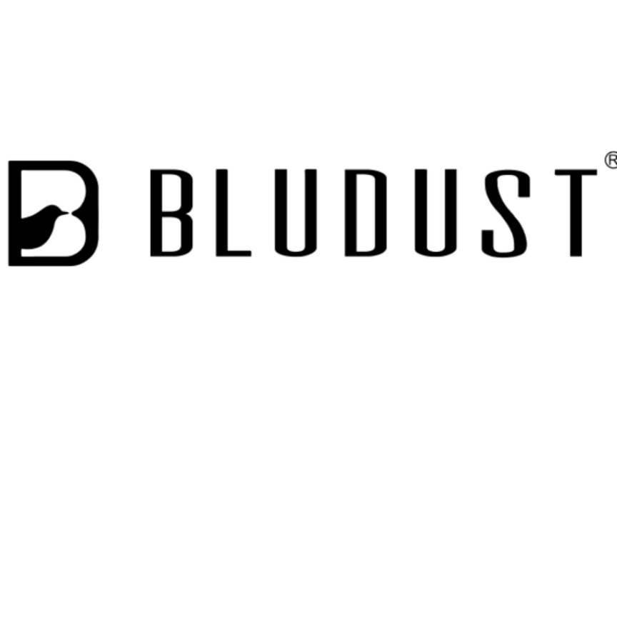 Bludust logo